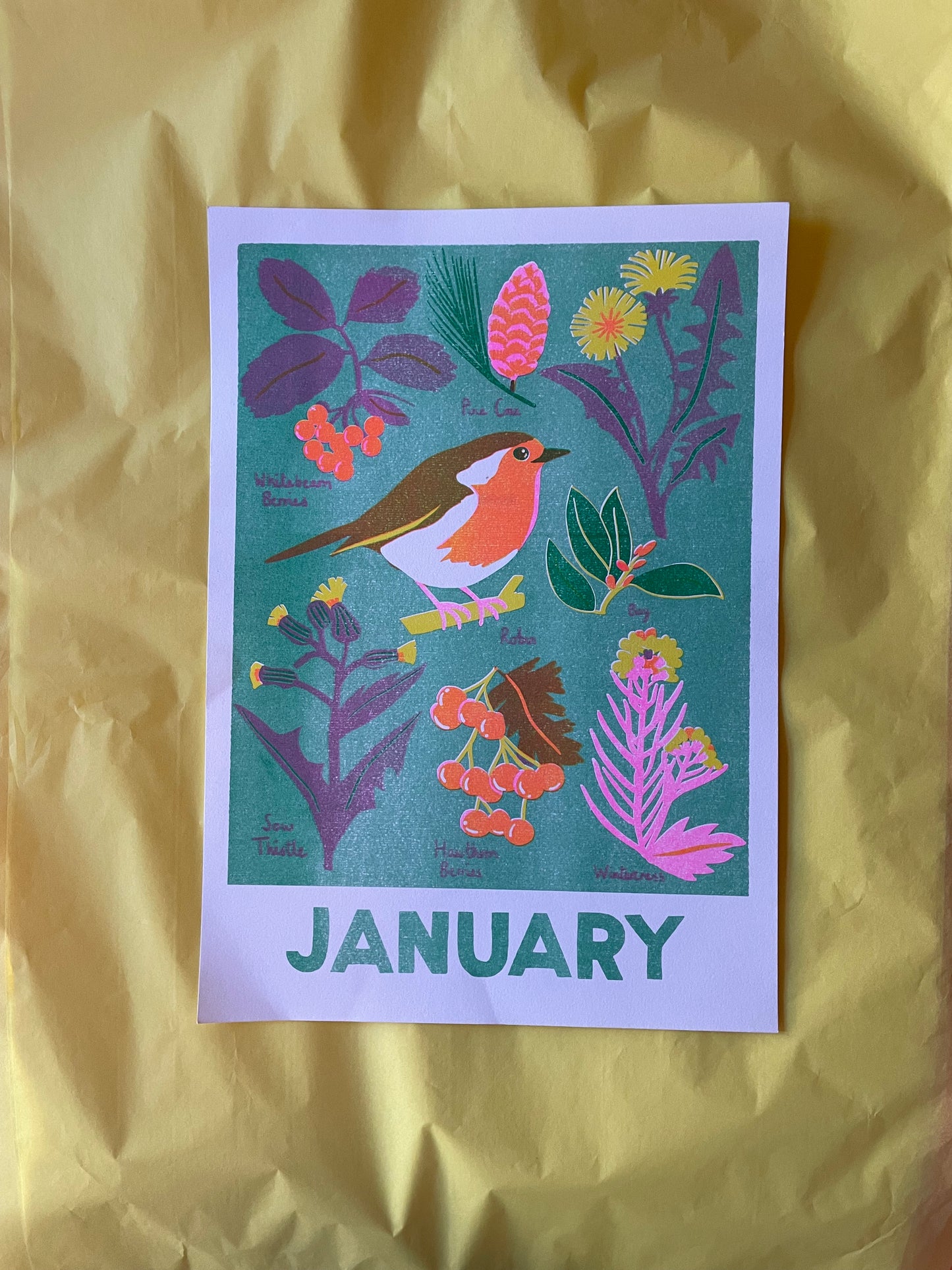January print ( reduced)