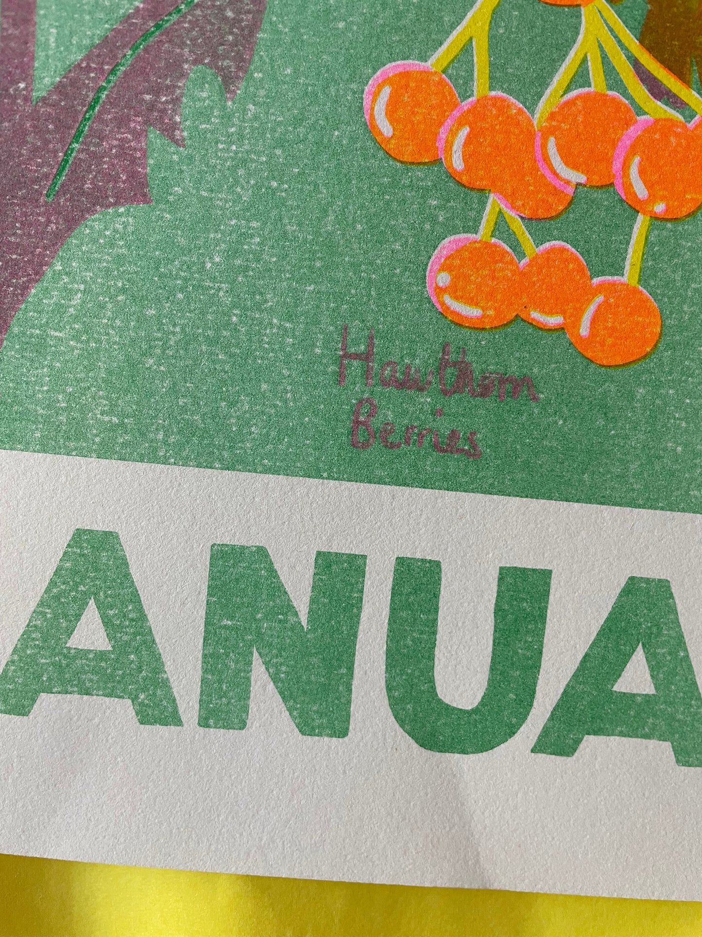 January print ( reduced)