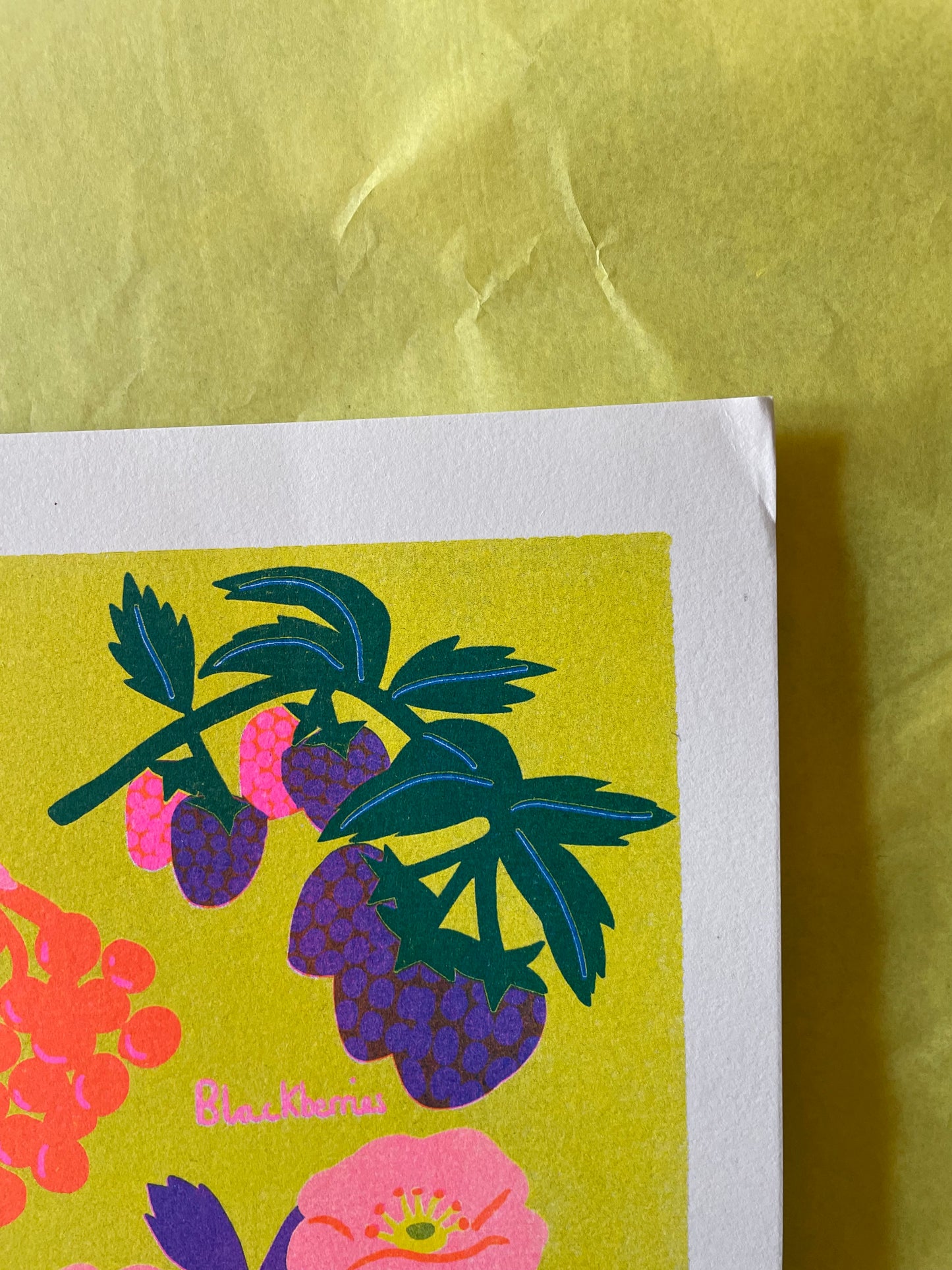 August print ( reduced)