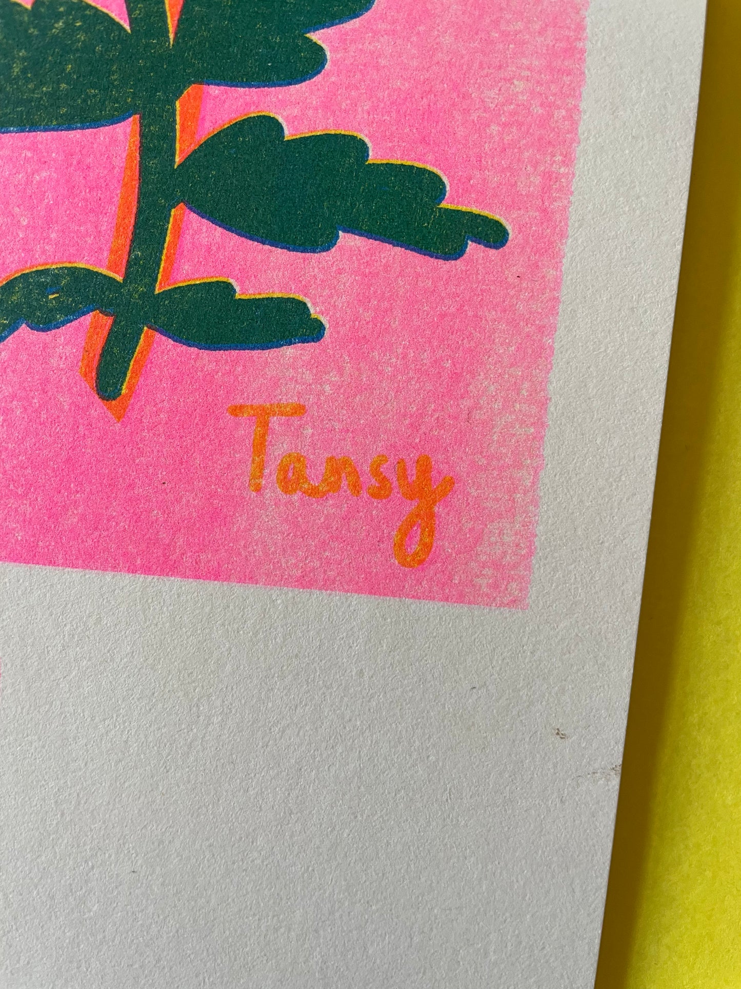 March Riso print ( reduced )