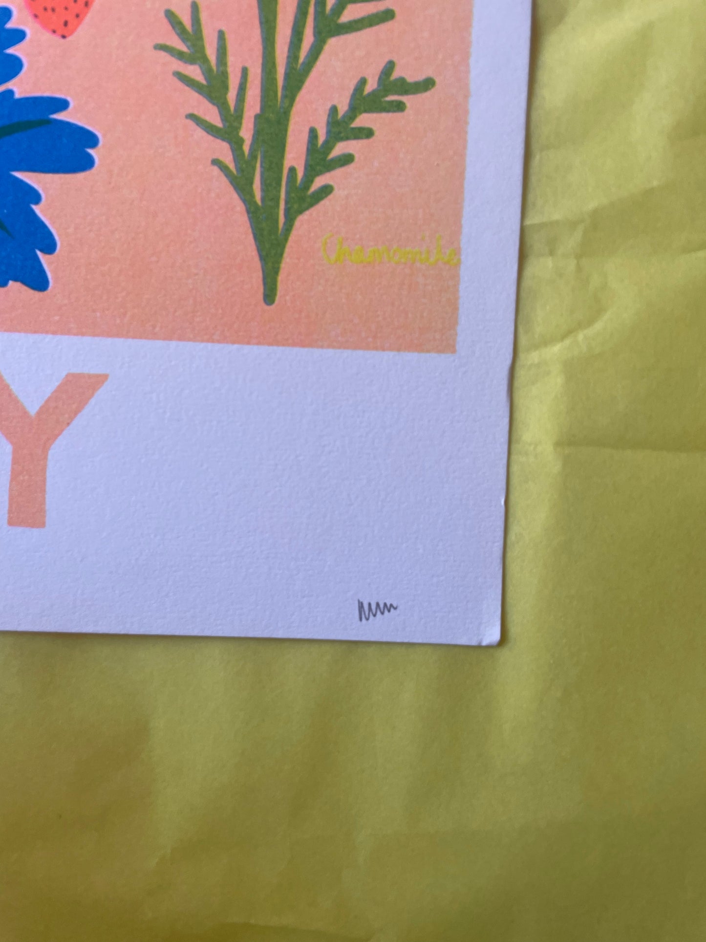 July foraging print ( reduced )