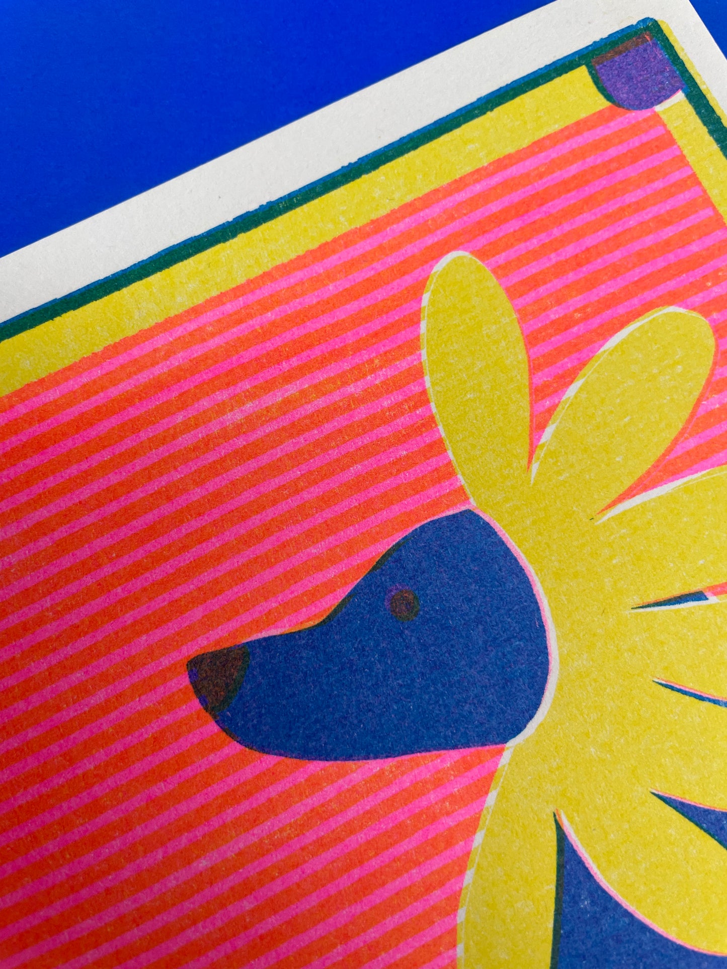 Daisy Labrador Print