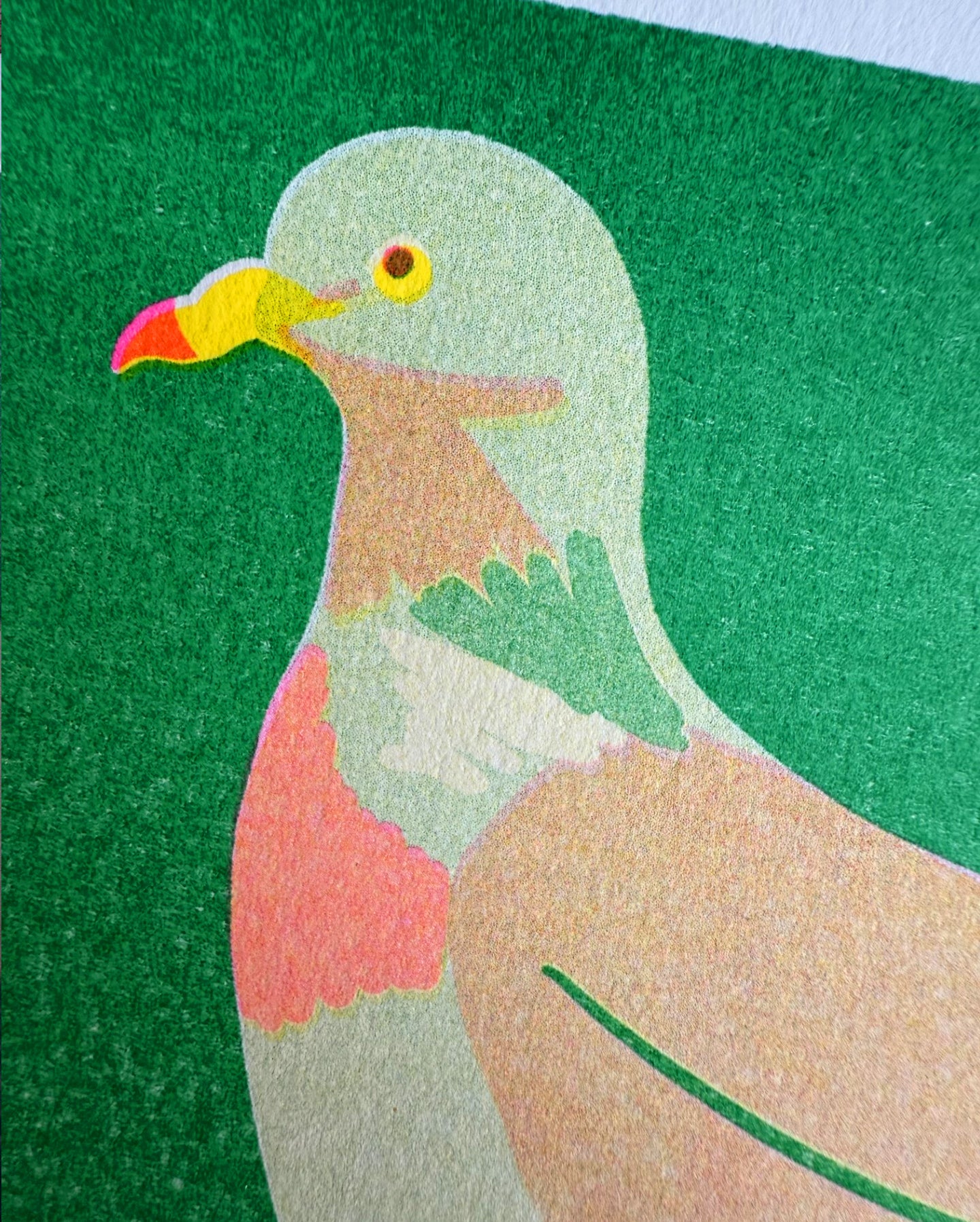 Wood Pigeon Mini Print