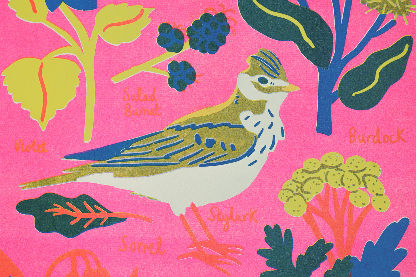 March Forage Print