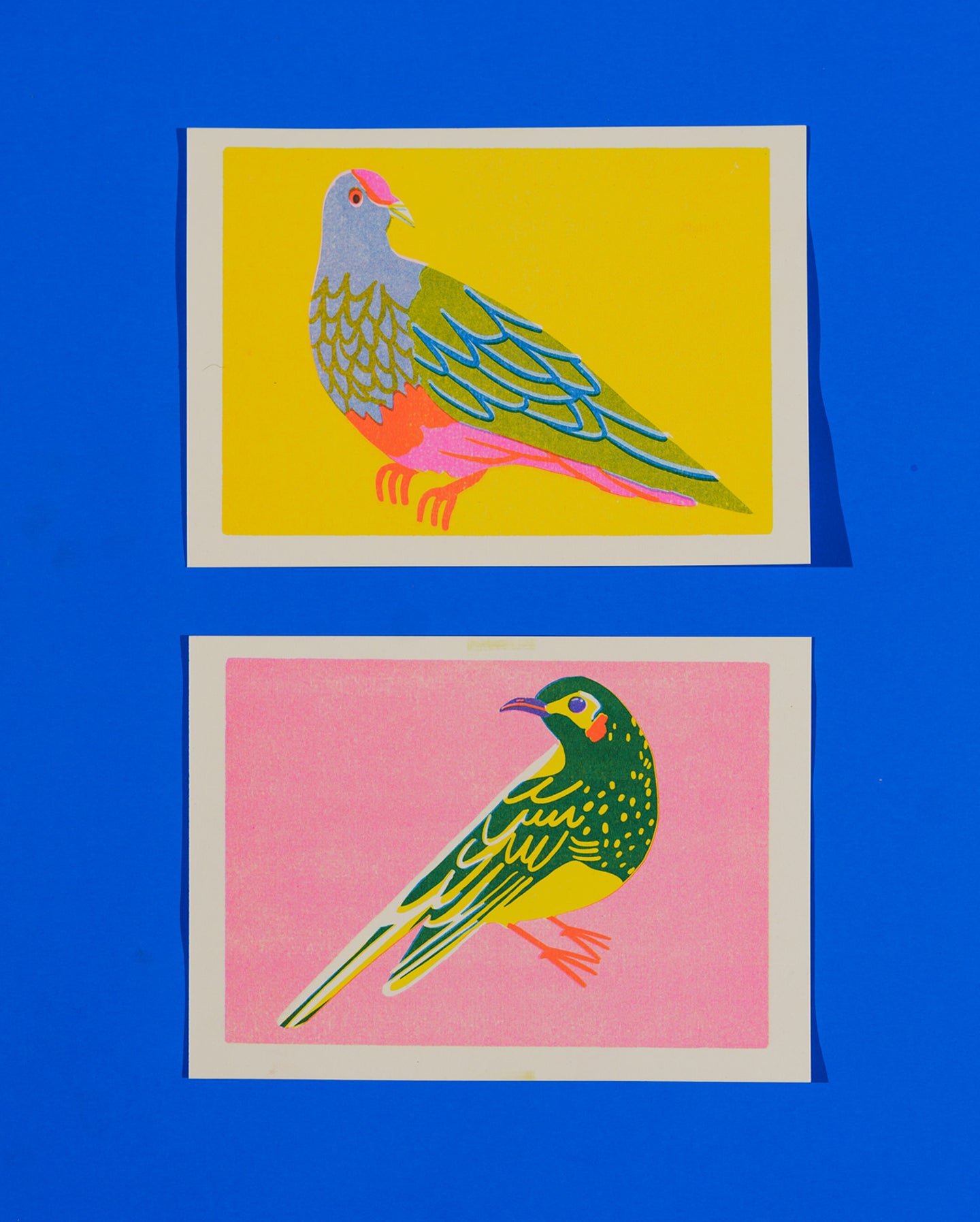 Fruit Dove print