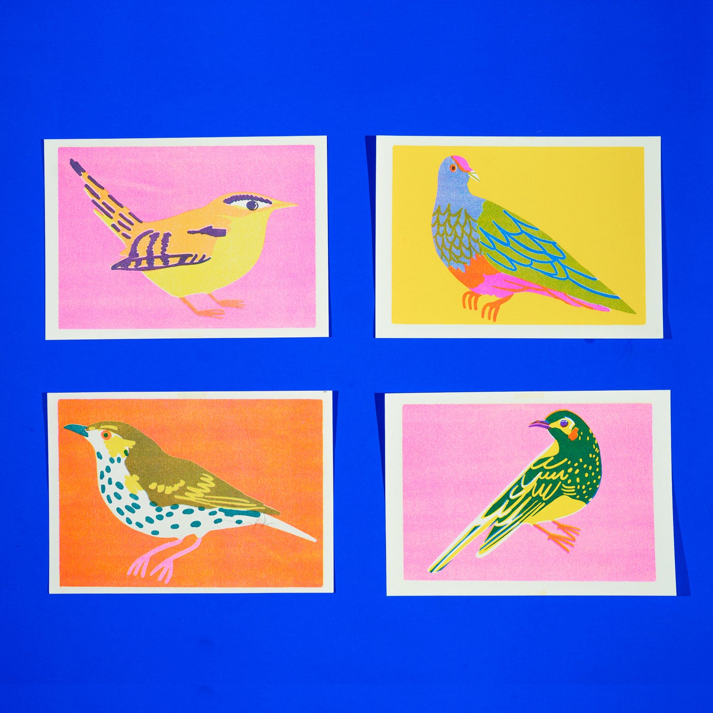 Bird Prints Bundle