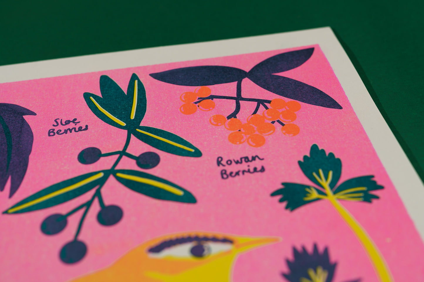 December Forage Print