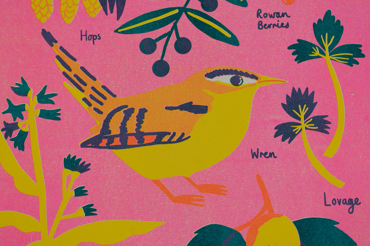 December Forage Print