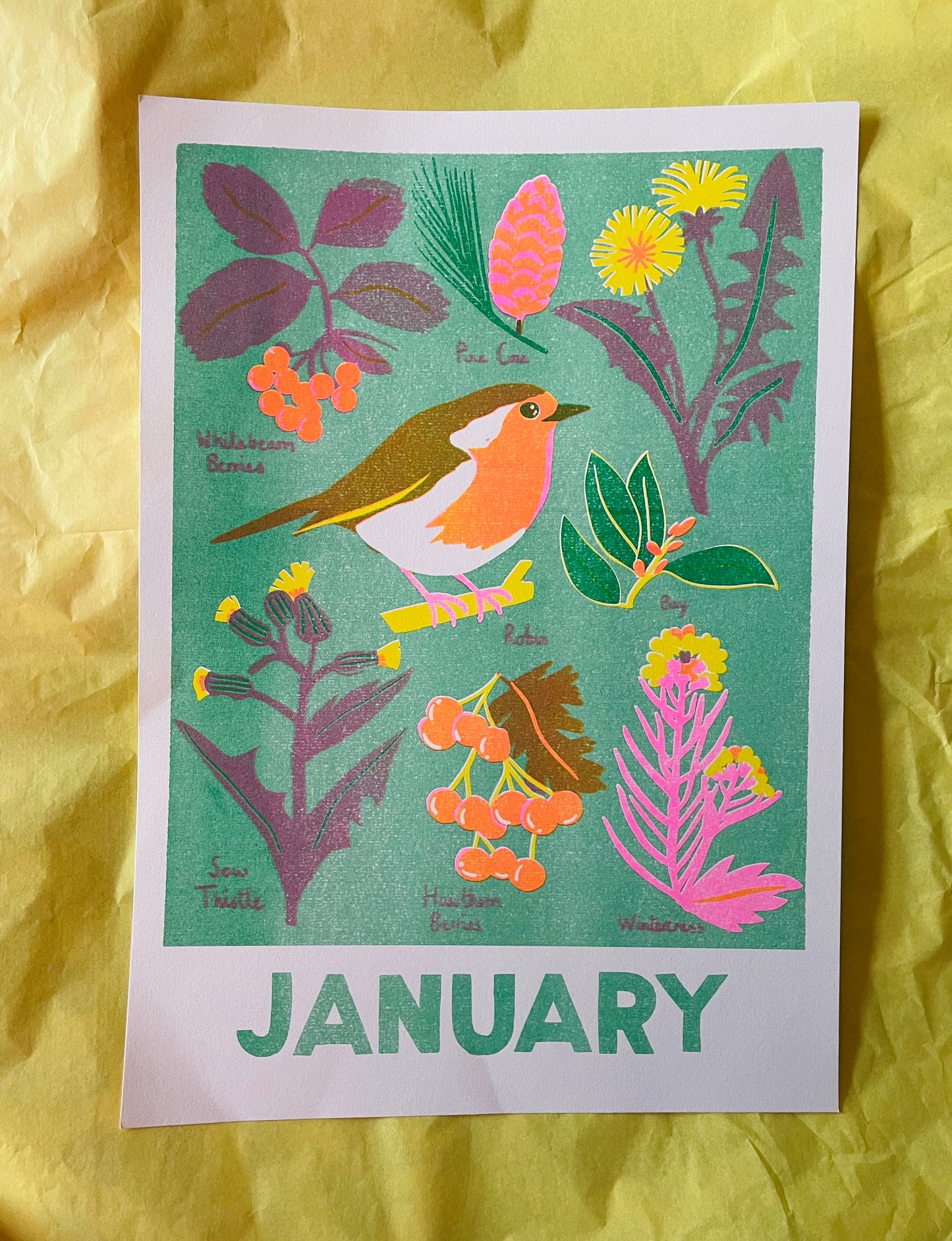 January print ( reduced)