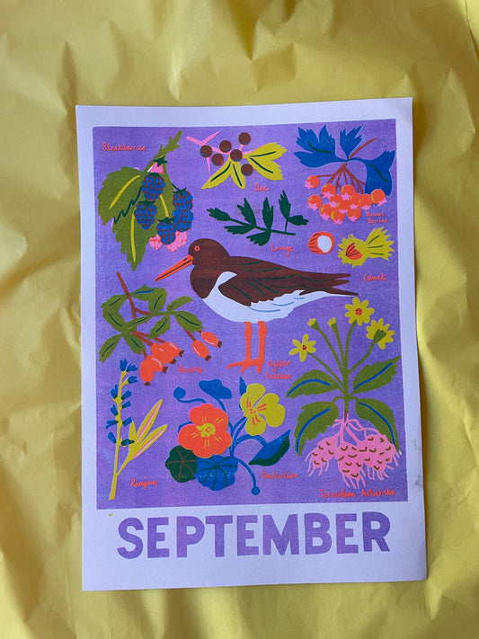 September print (reduced)