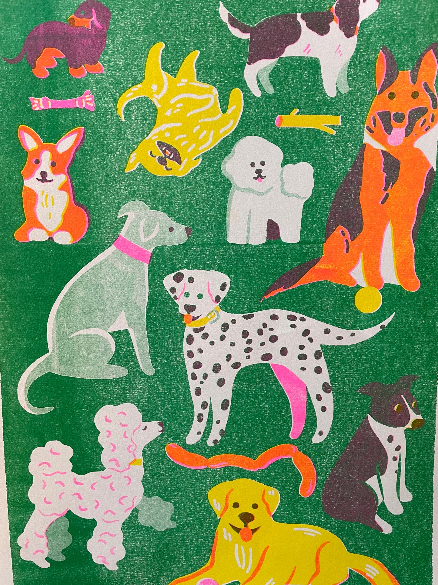 Dog print ( reduced)