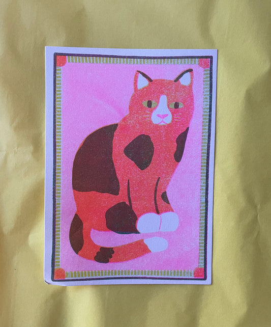 Patchy cat print ( reduced)