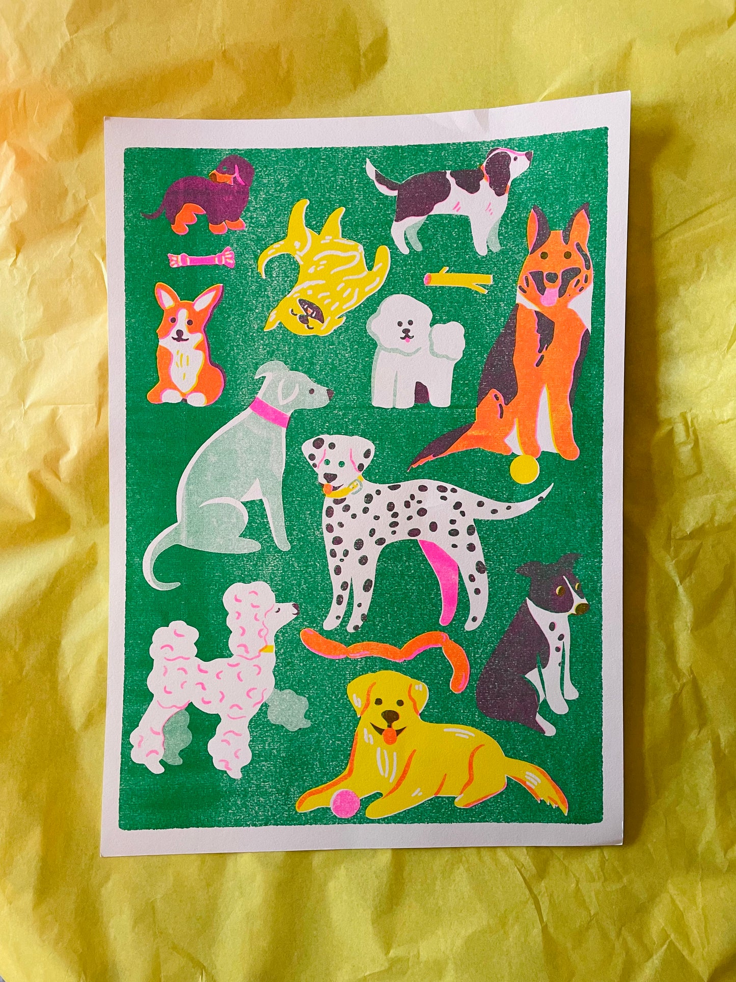 Dog print ( reduced)