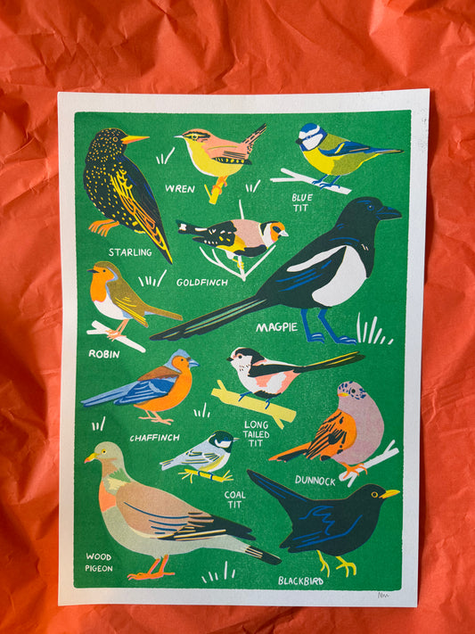 Garden bird print ( reduced)