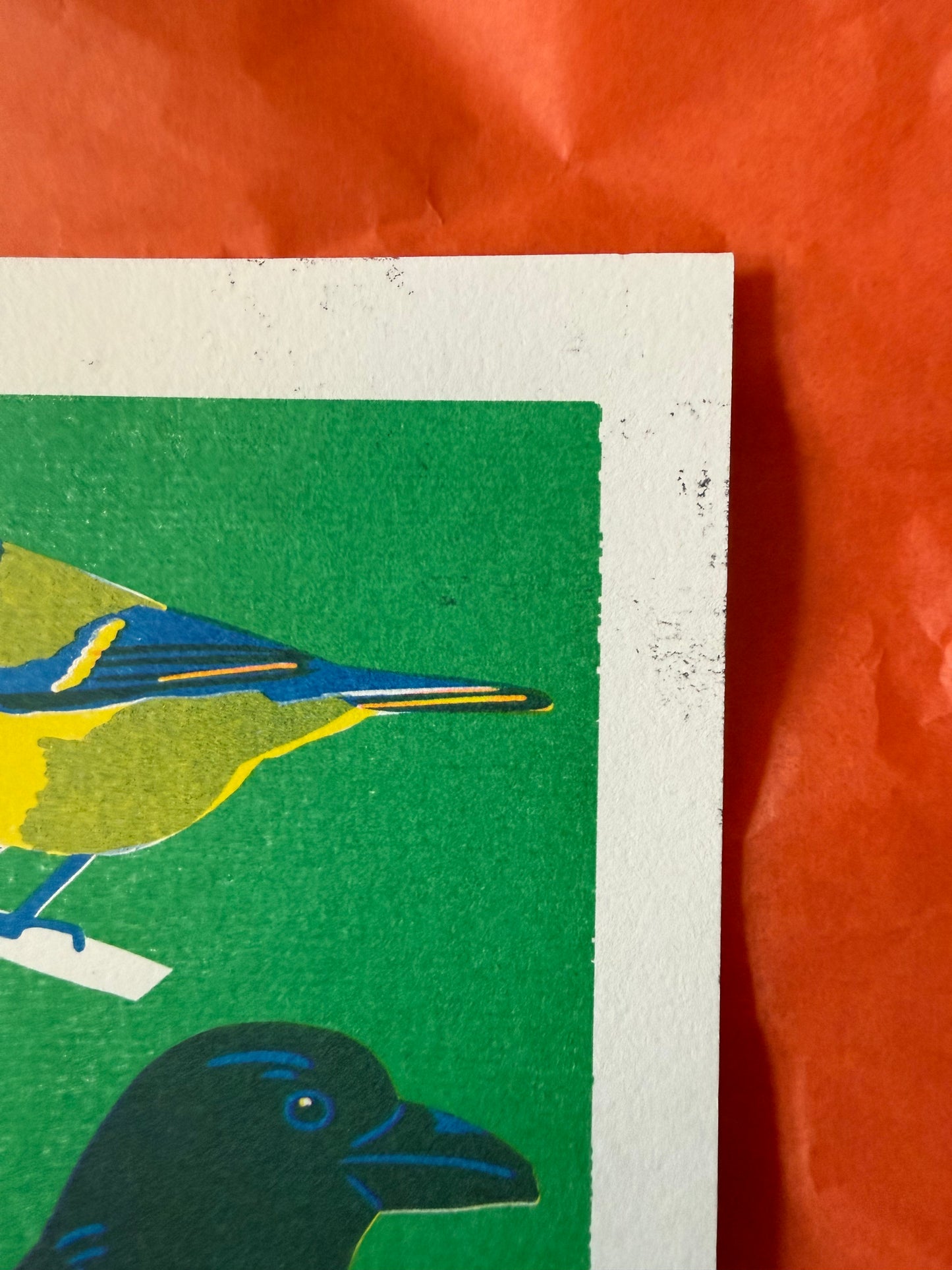 Garden bird print ( reduced)