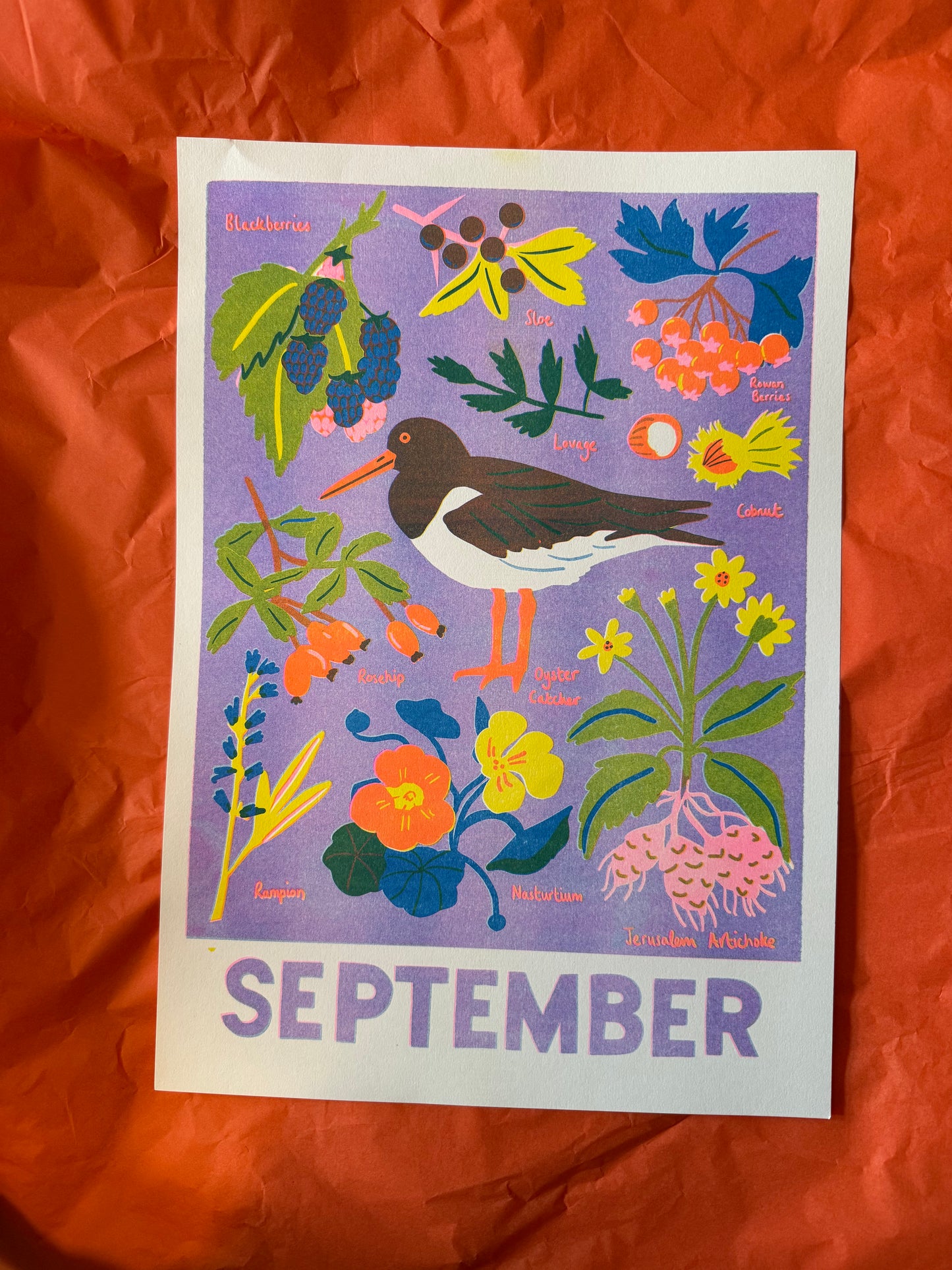 September print ( reduced)
