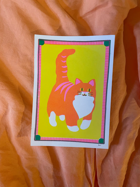 Orange cat print