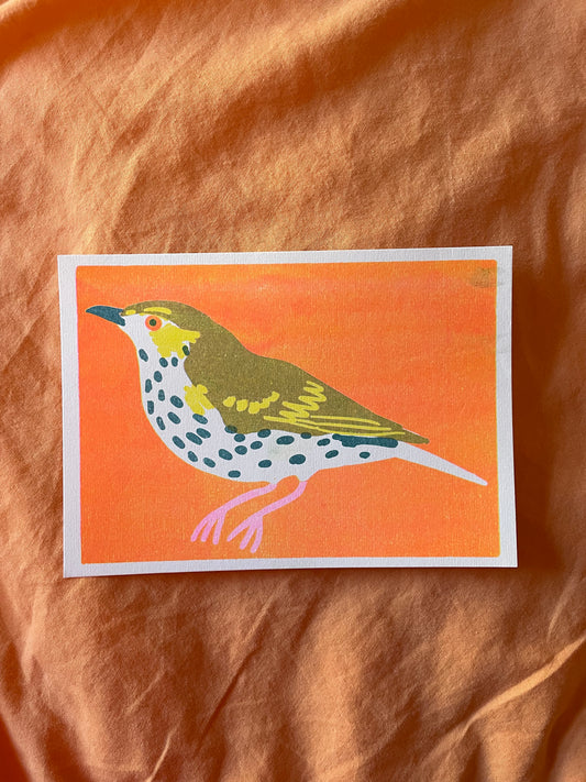 Mistle thrush print ( reduced)