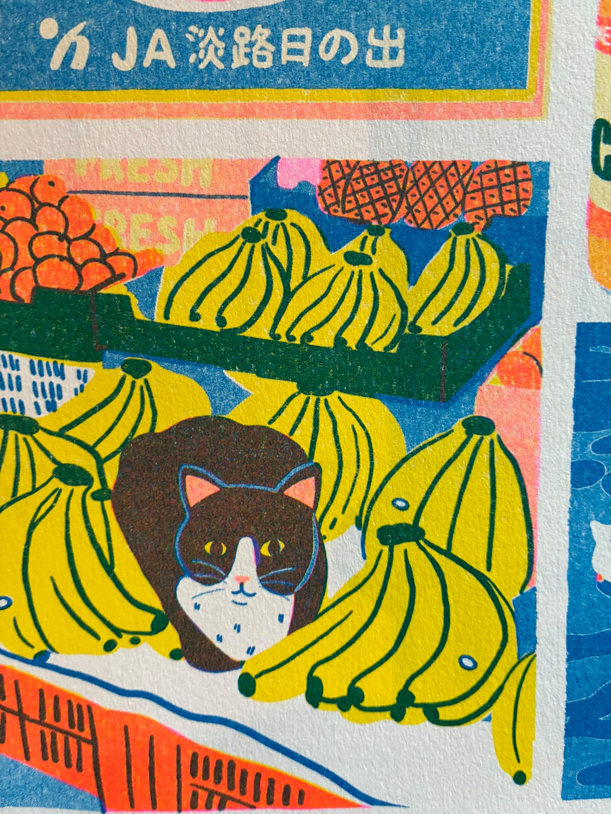 PRE ORDER 2027 Riso Calendar