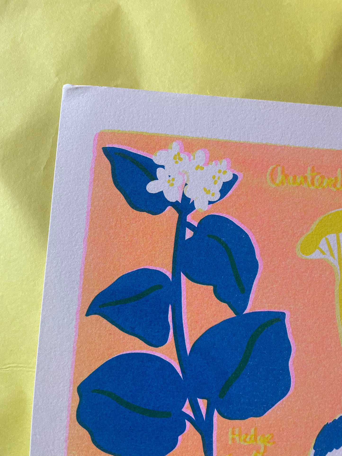 July foraging print ( reduced )