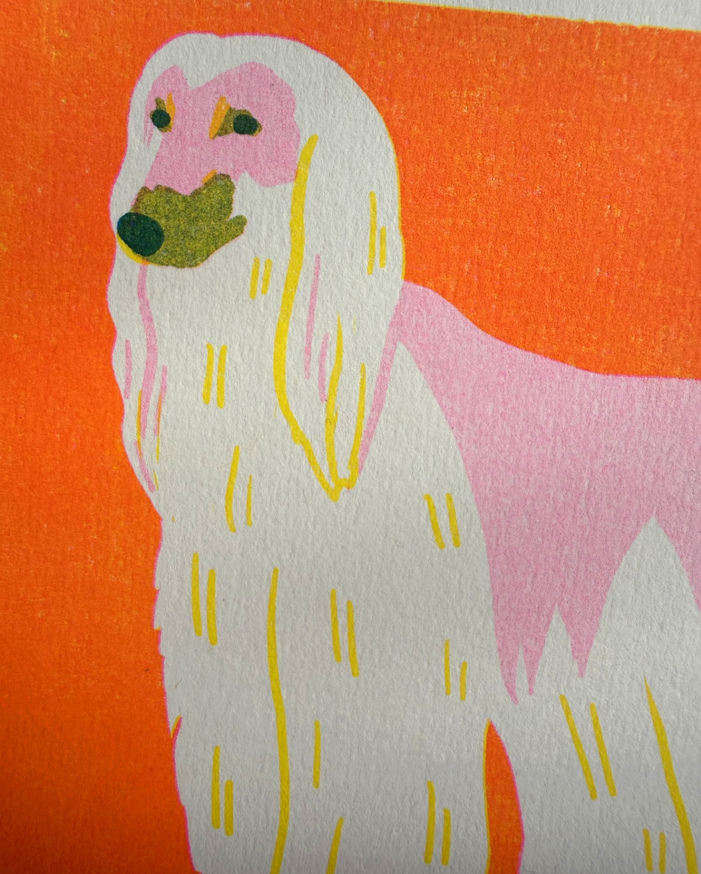 Afghan Hound Mini Print