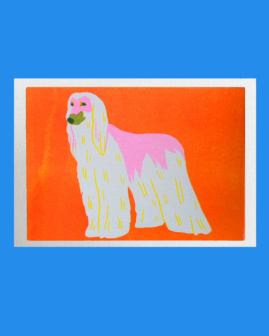 Afghan Hound Mini Print