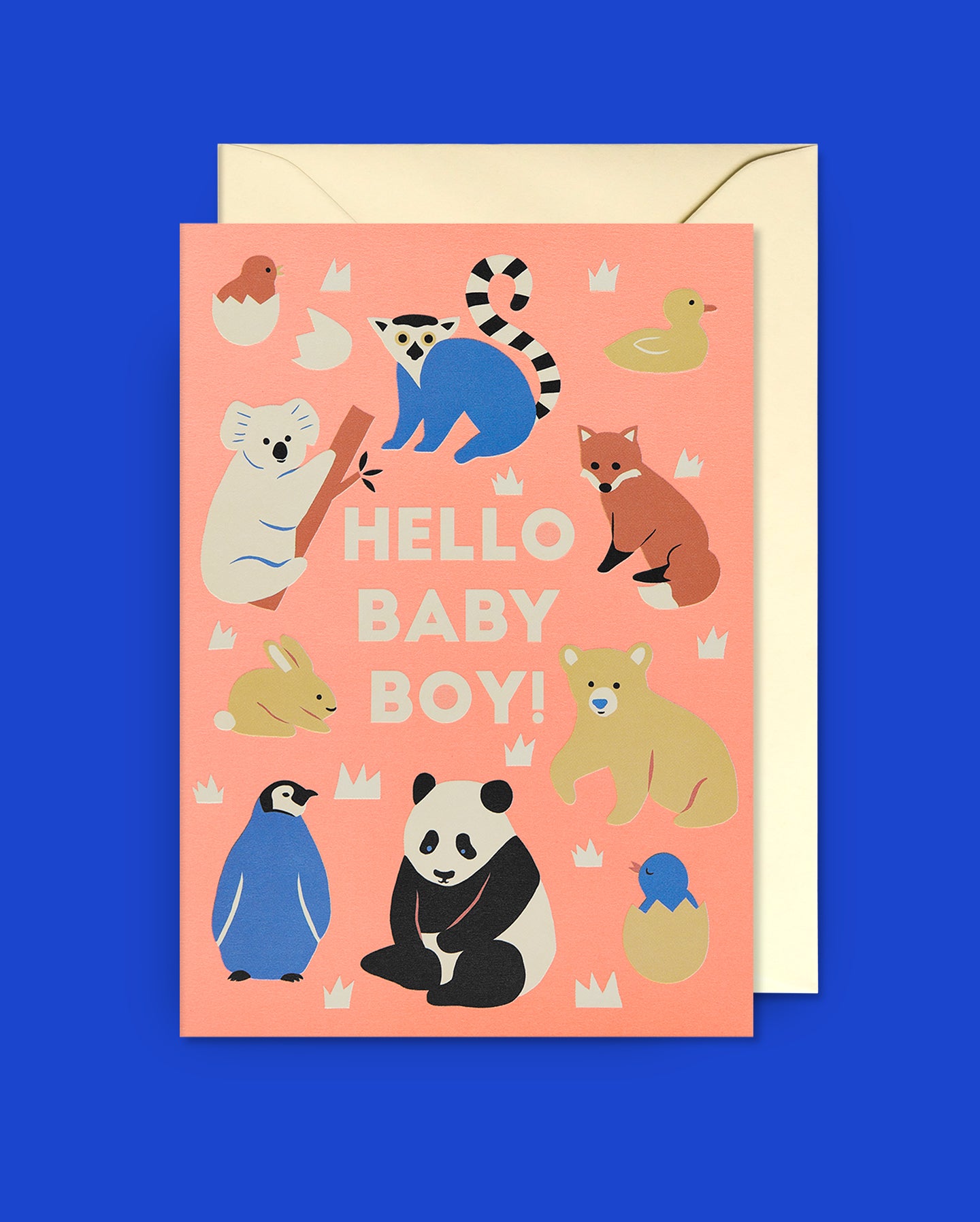 Baby Boy Card