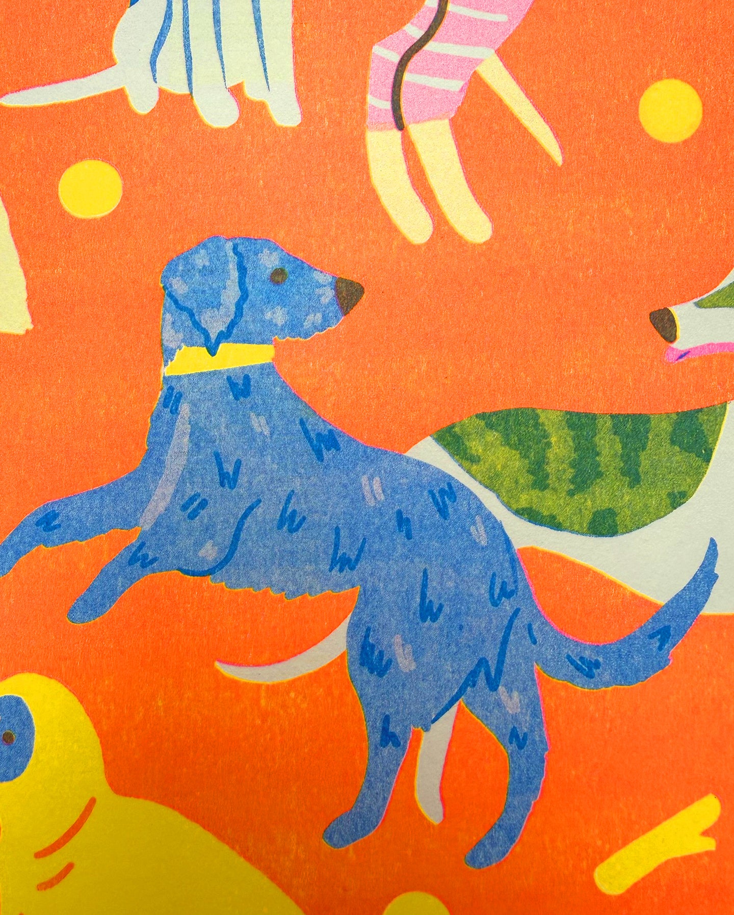 Sight Hound Print