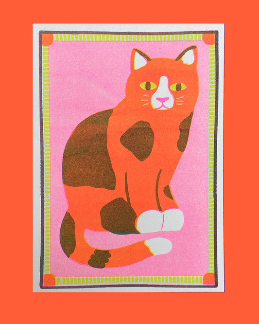 Orange Patchy Cat Mini Print