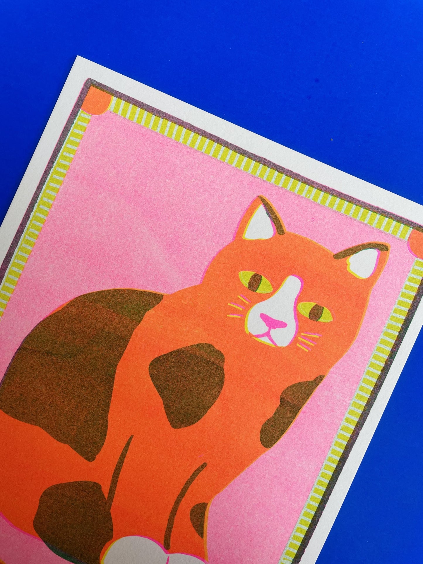 Orange Patchy Cat Mini Print