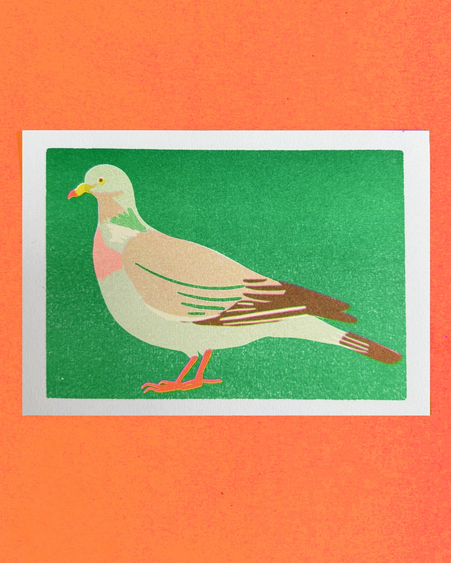 Wood Pigeon Mini Print