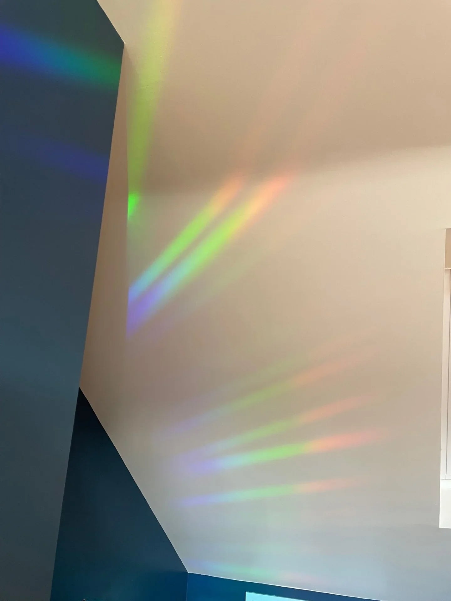 Wood Pigeon Sun catcher Sticker