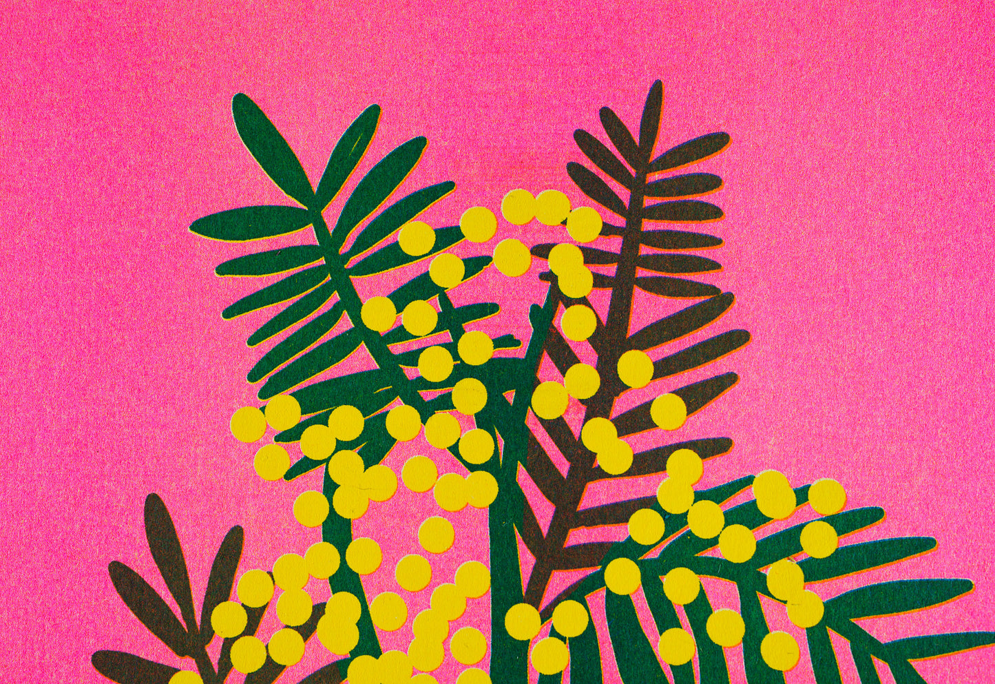 Mimosa Risograph Print