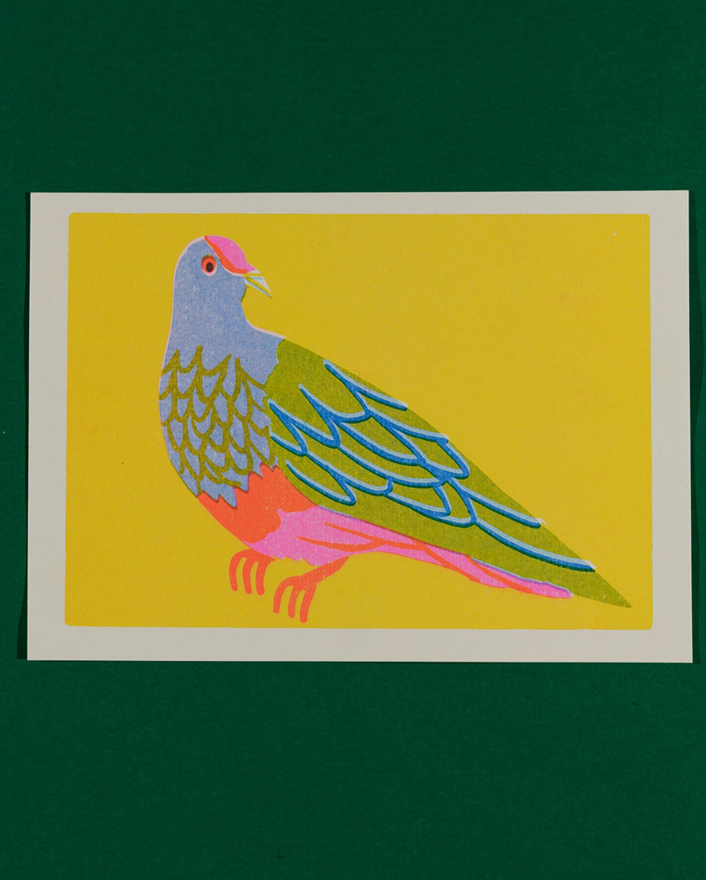 Fruit Dove print