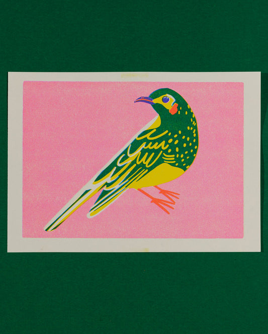 Honey Eater Print