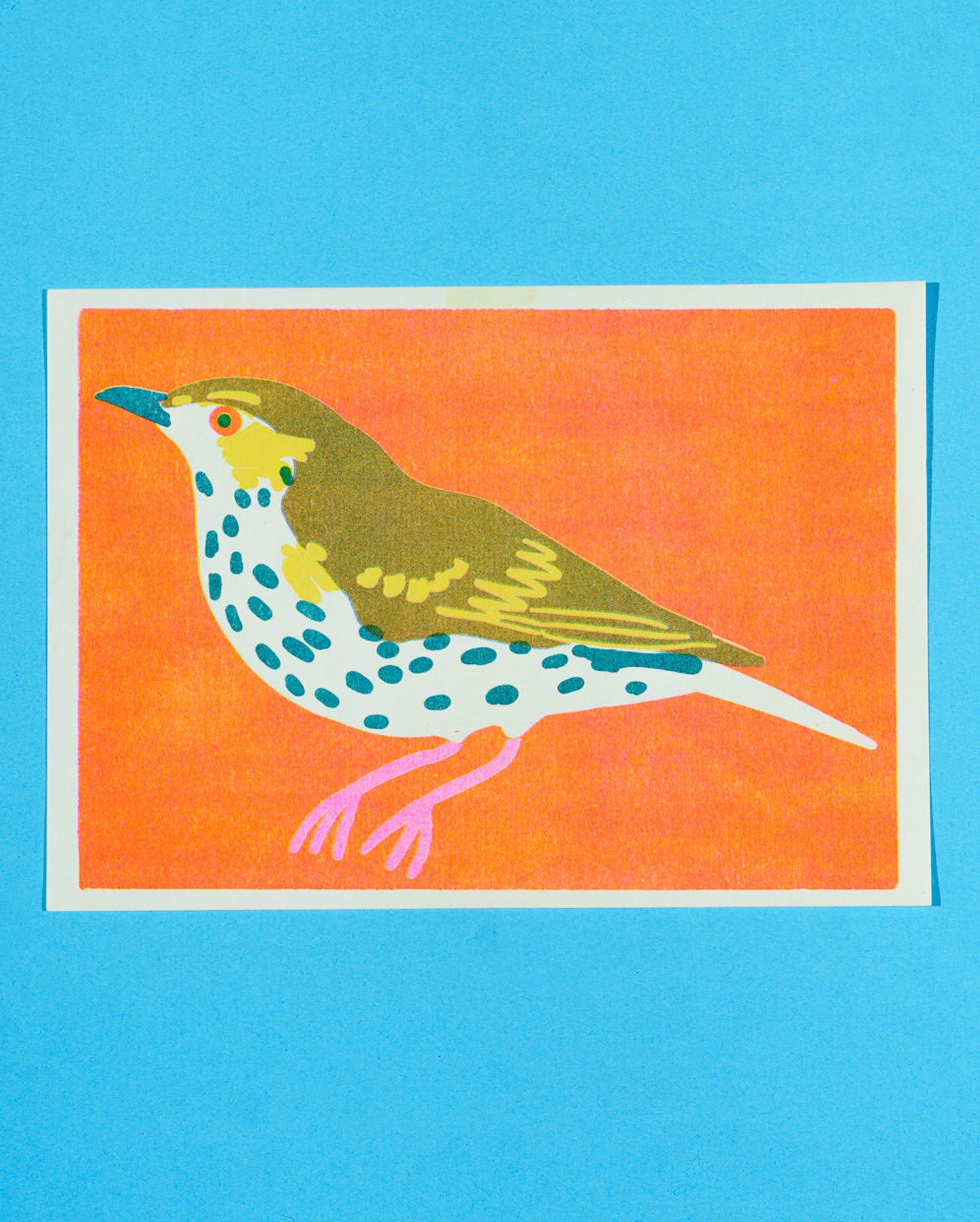 Mistle Thrush Print