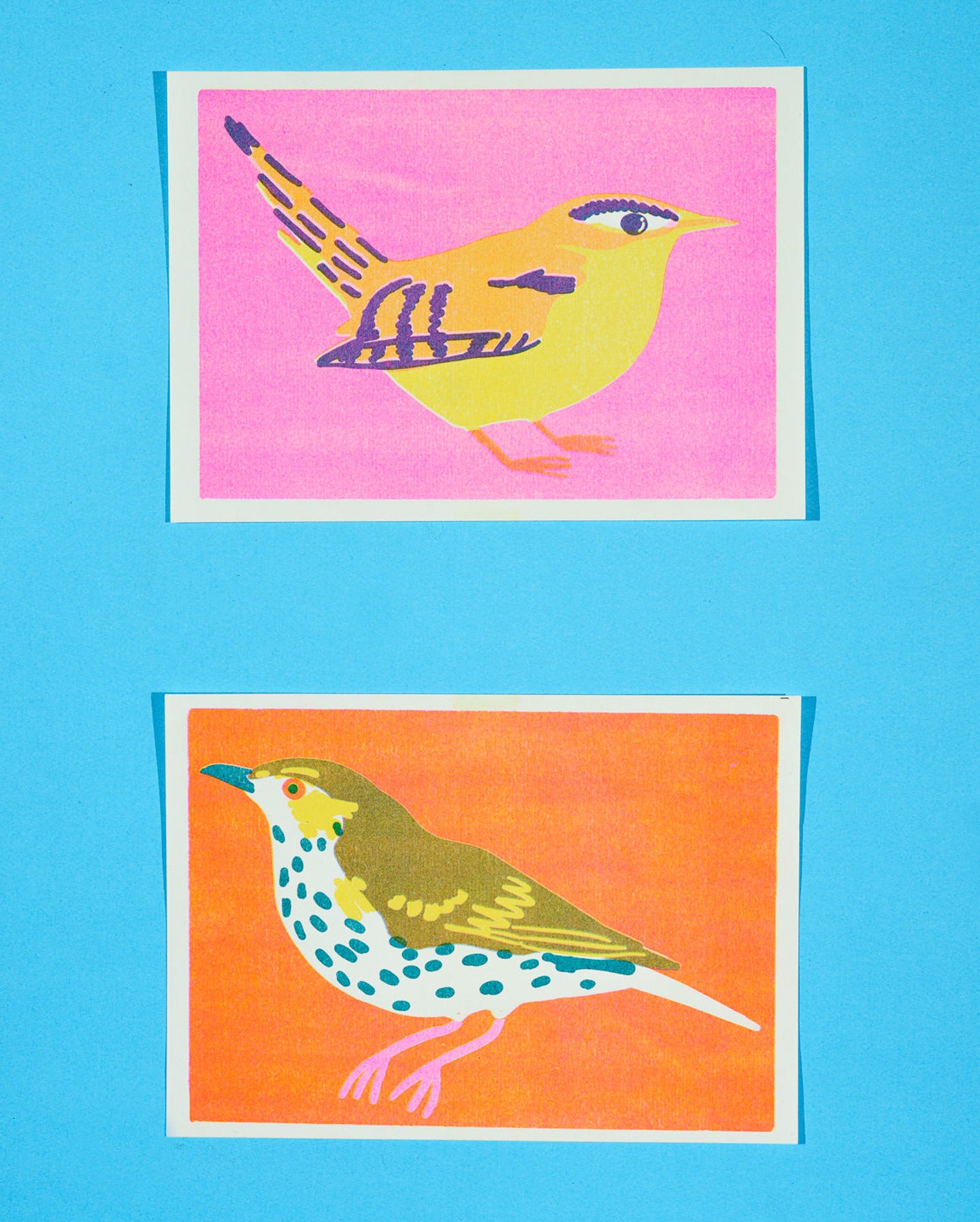 Mistle Thrush Print