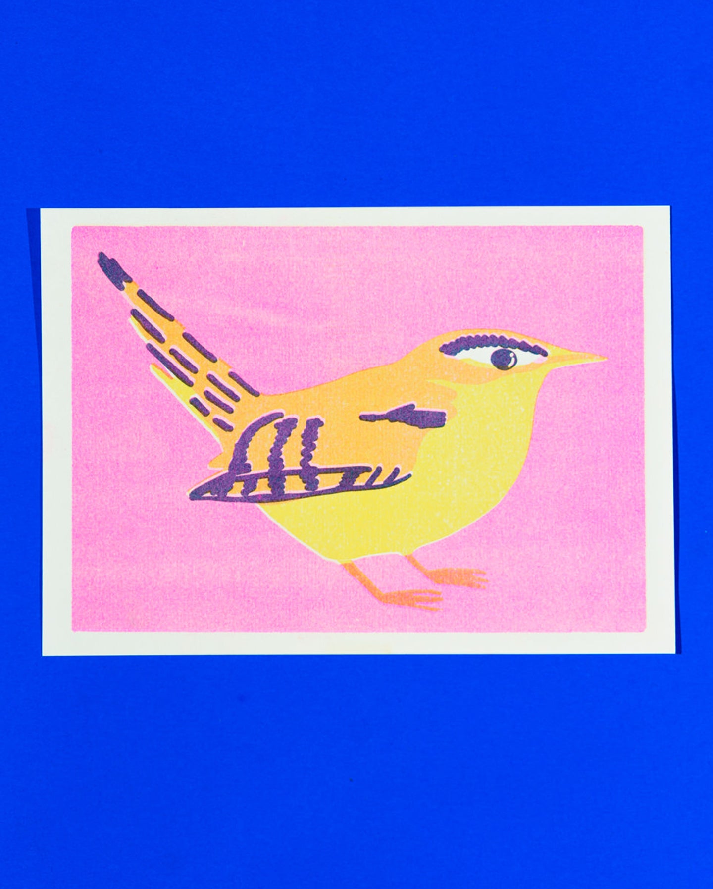 Bird Prints Bundle