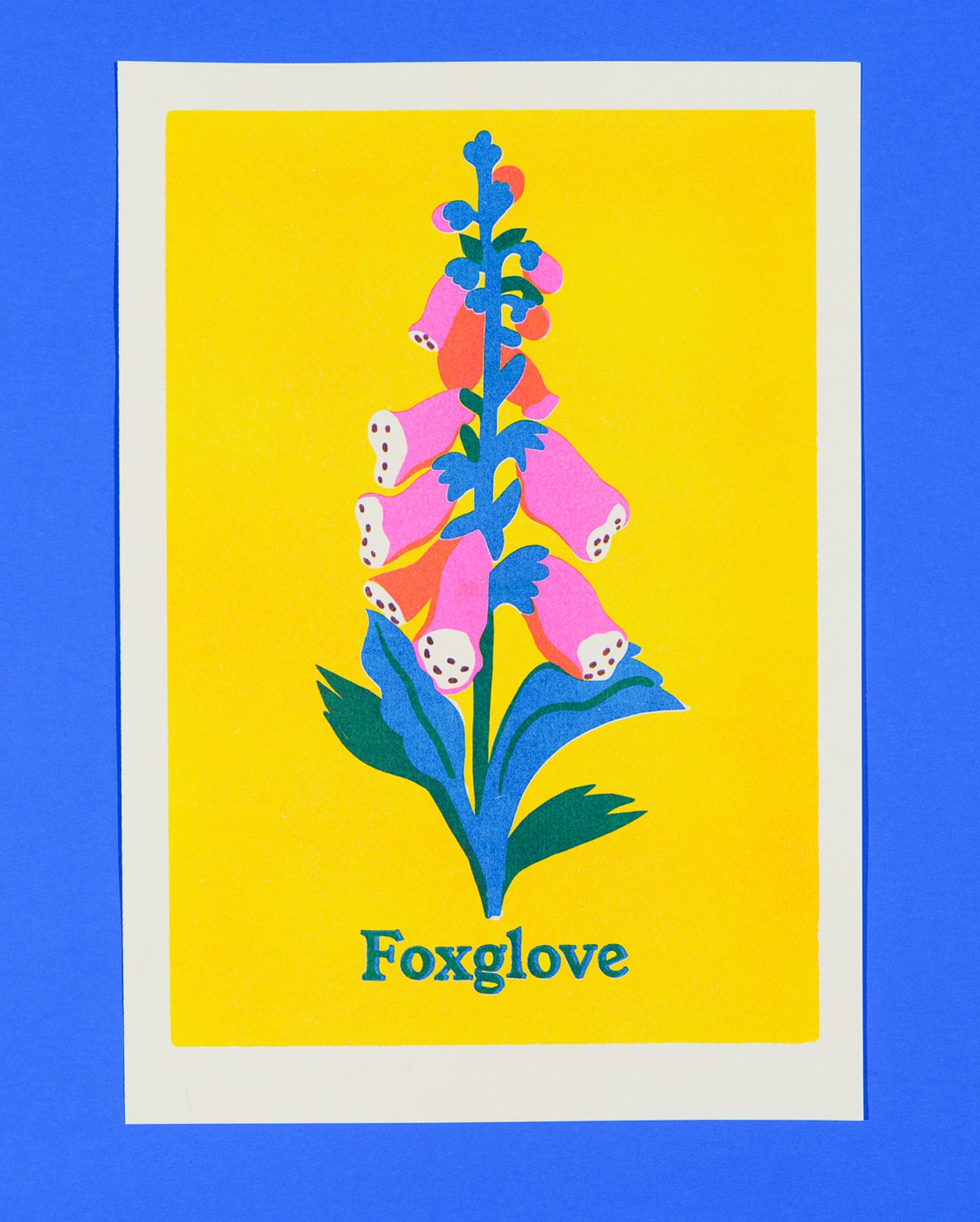 Foxglove Print