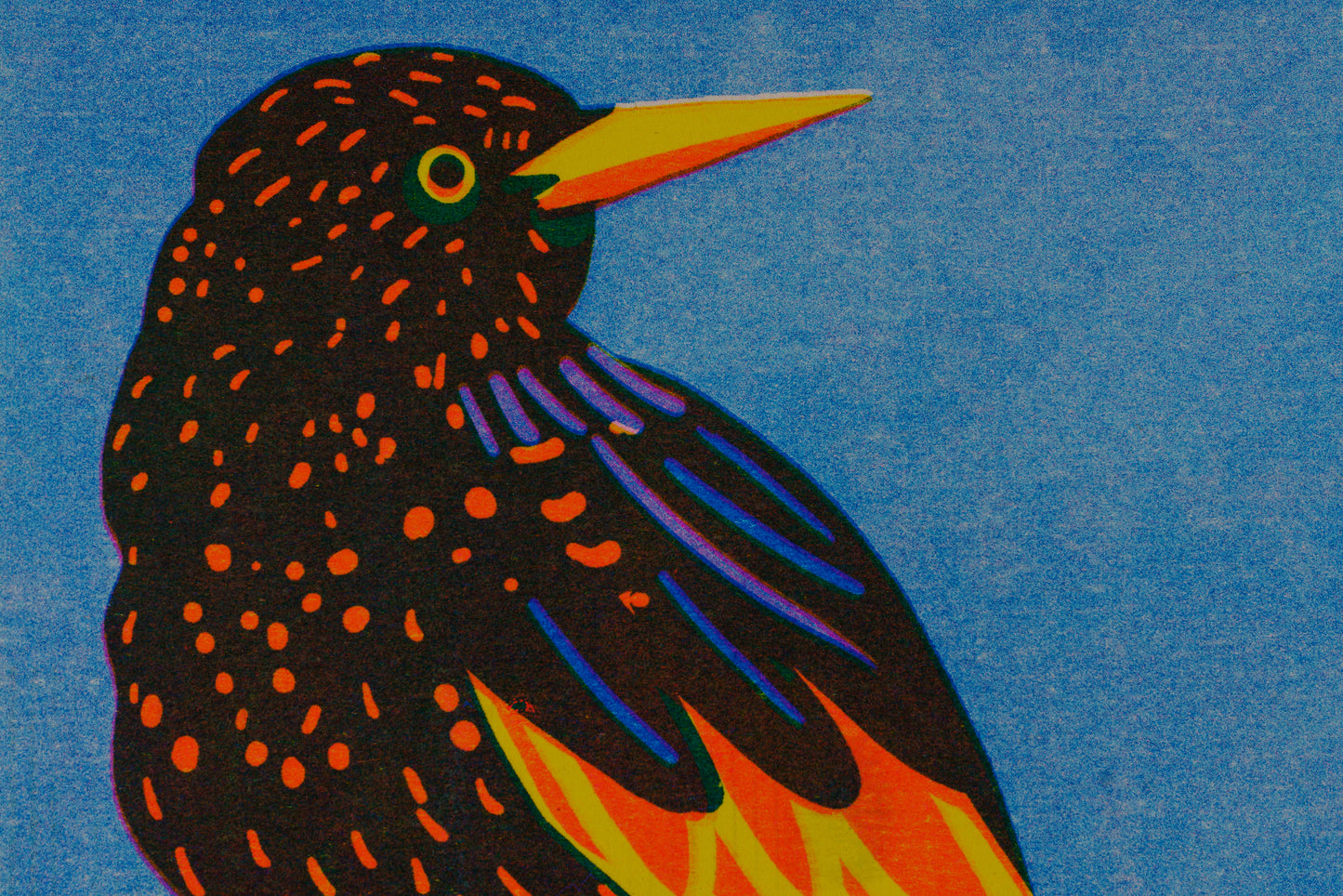 Starling print