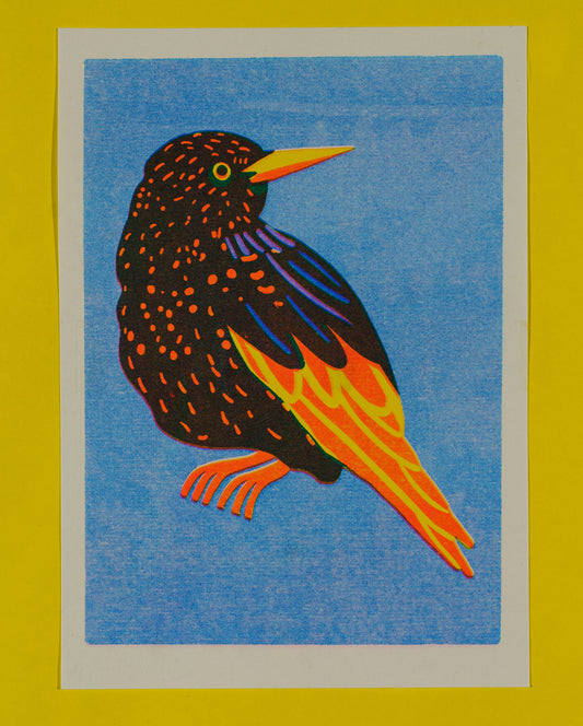 Starling print