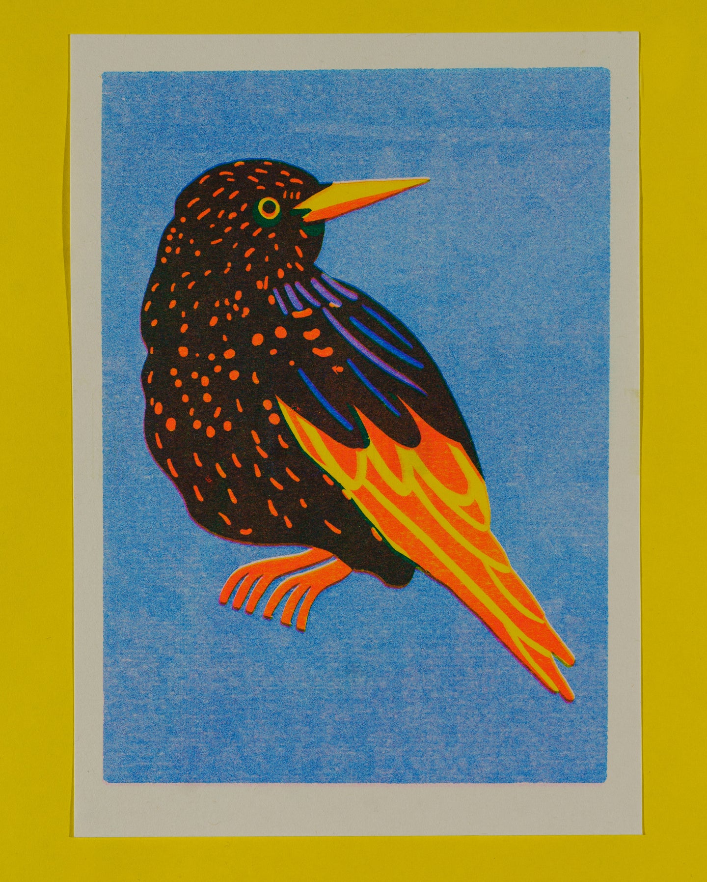 starling-print-naomi-wilkinson